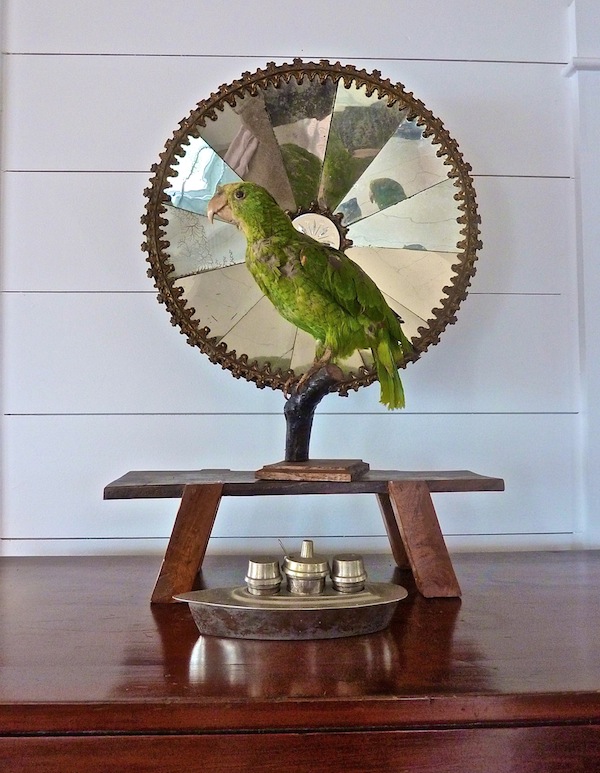 amelia handegan vignette amelia handegan