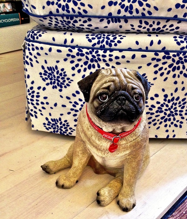 ceramic pug Rooms with a View