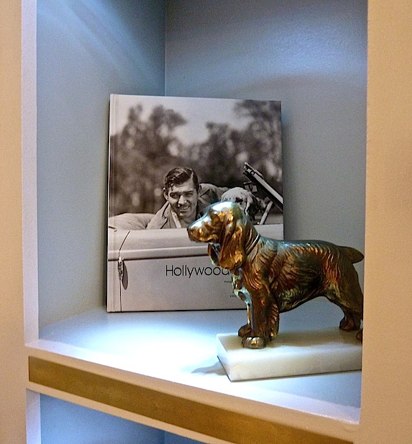 dog books at Rooms with a View Rooms with a View finale