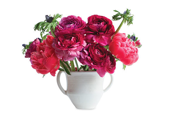 frances palmer shane pot in flower magazine