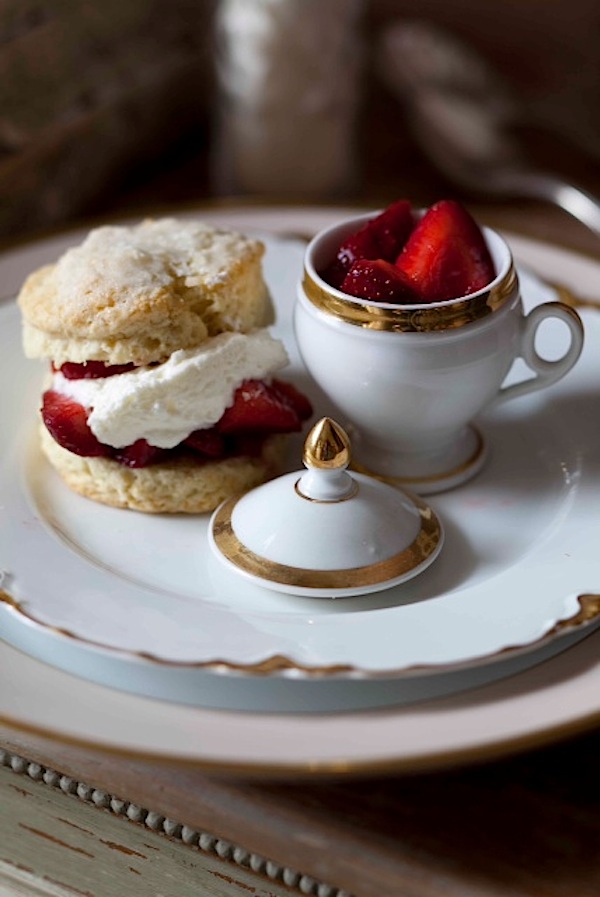 Stealing Magnolias by Deb Shriver new orleans