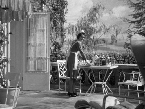 Terrace in Suspicion